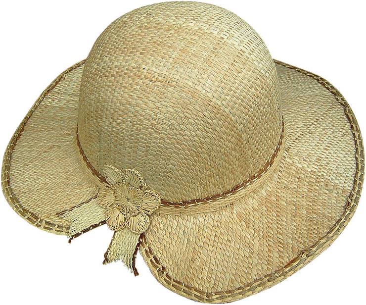 Summer Lady Hat