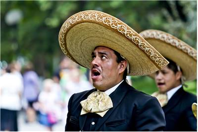 big mexican hat
